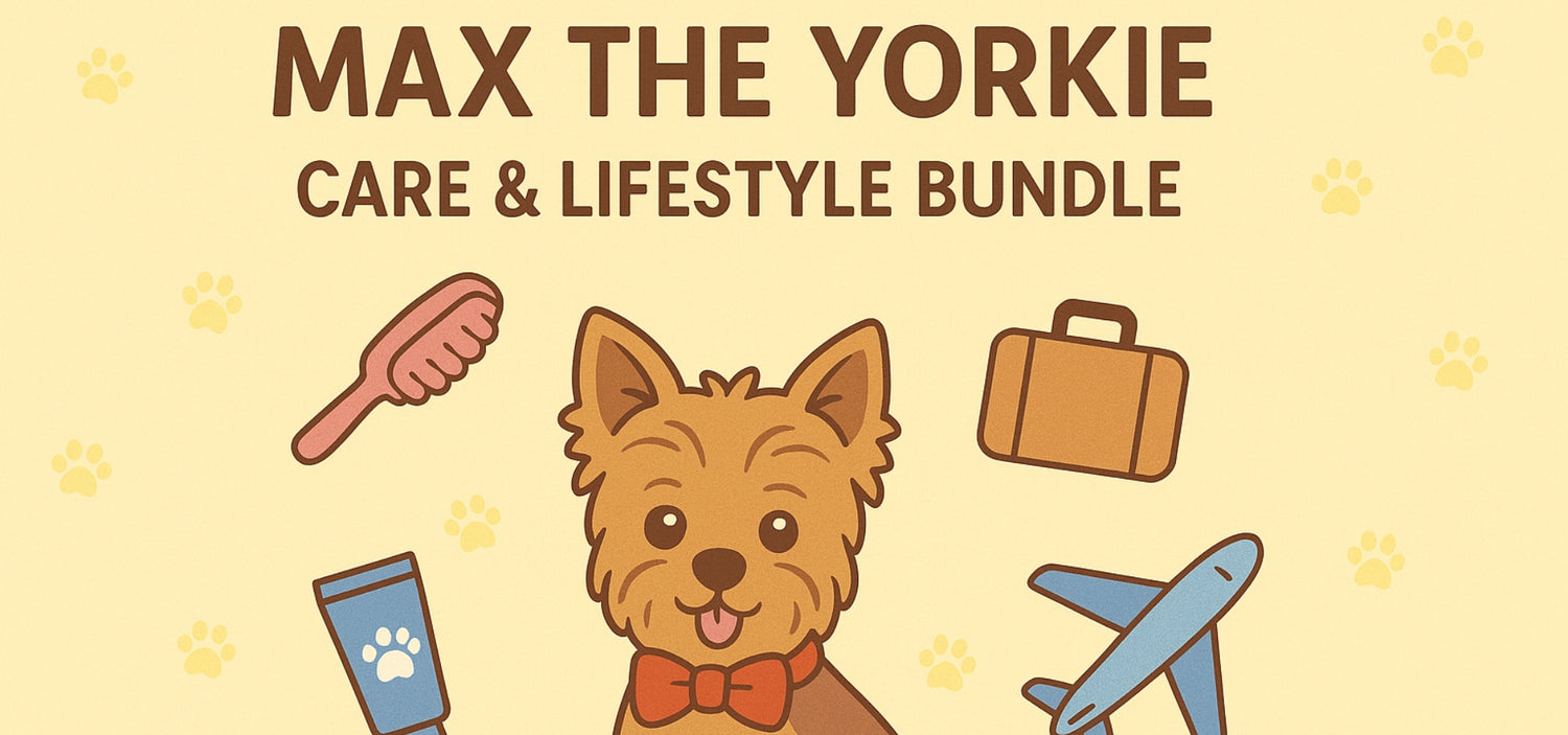 Max the Yorkie