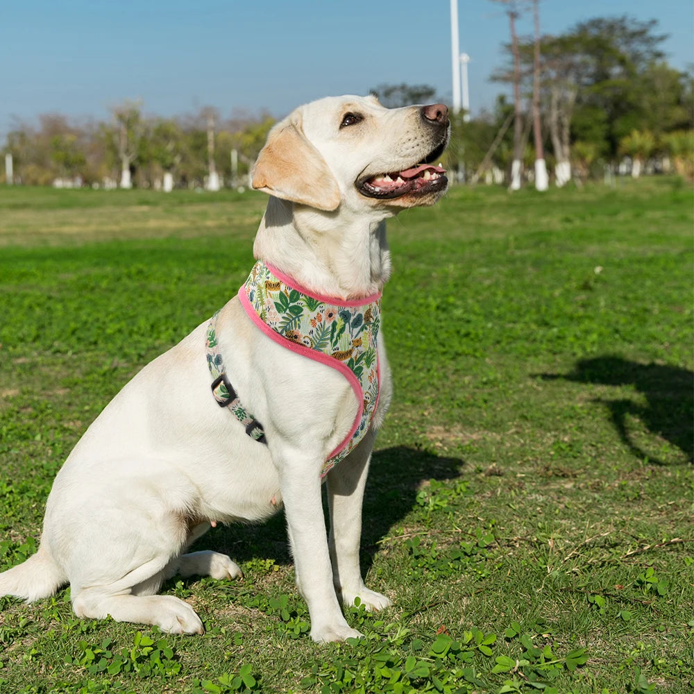 Printed Adjustable Pet Harness