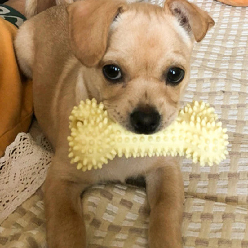 Pet Dog Toys For Chews