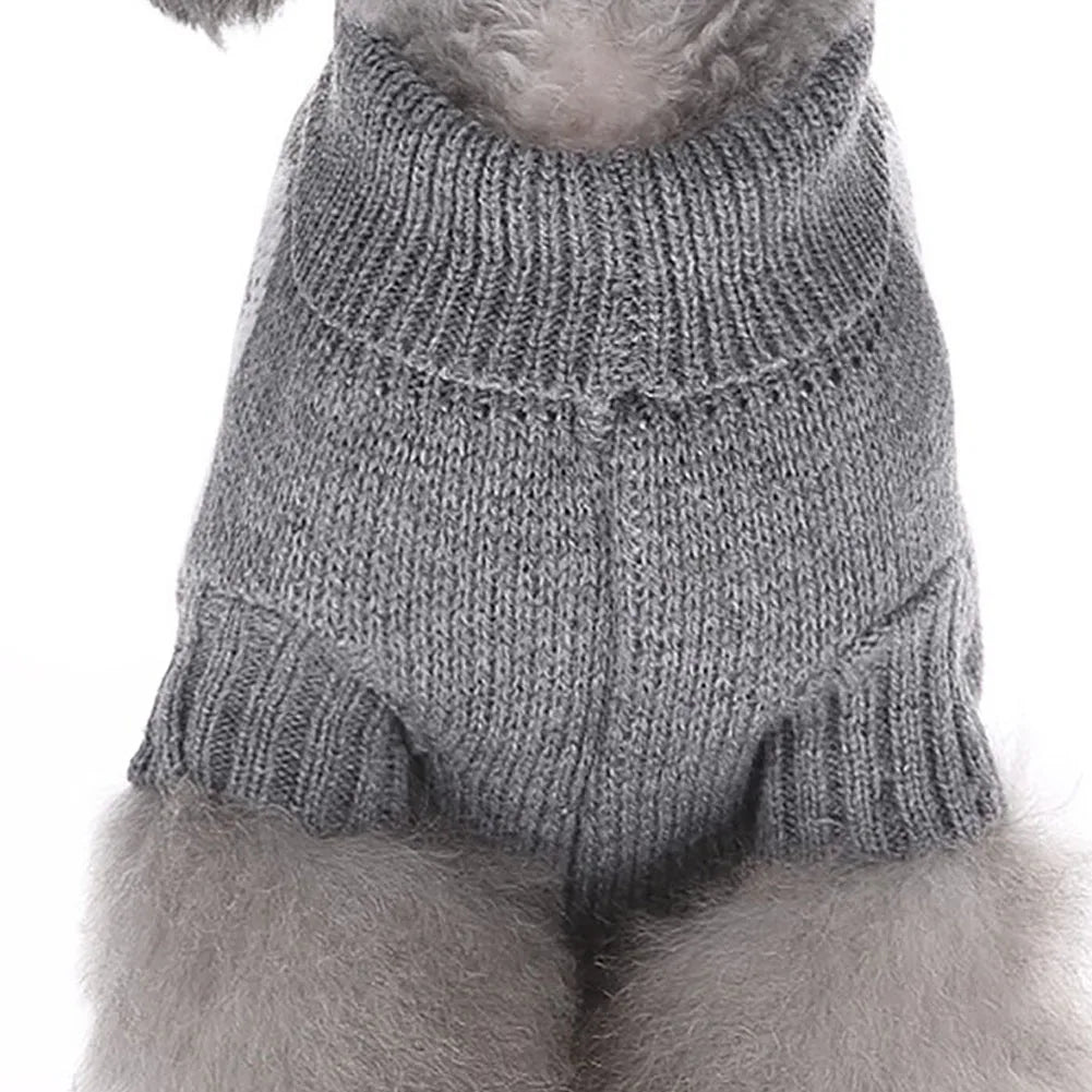 Pet Dog Skull Patten Design Sweater