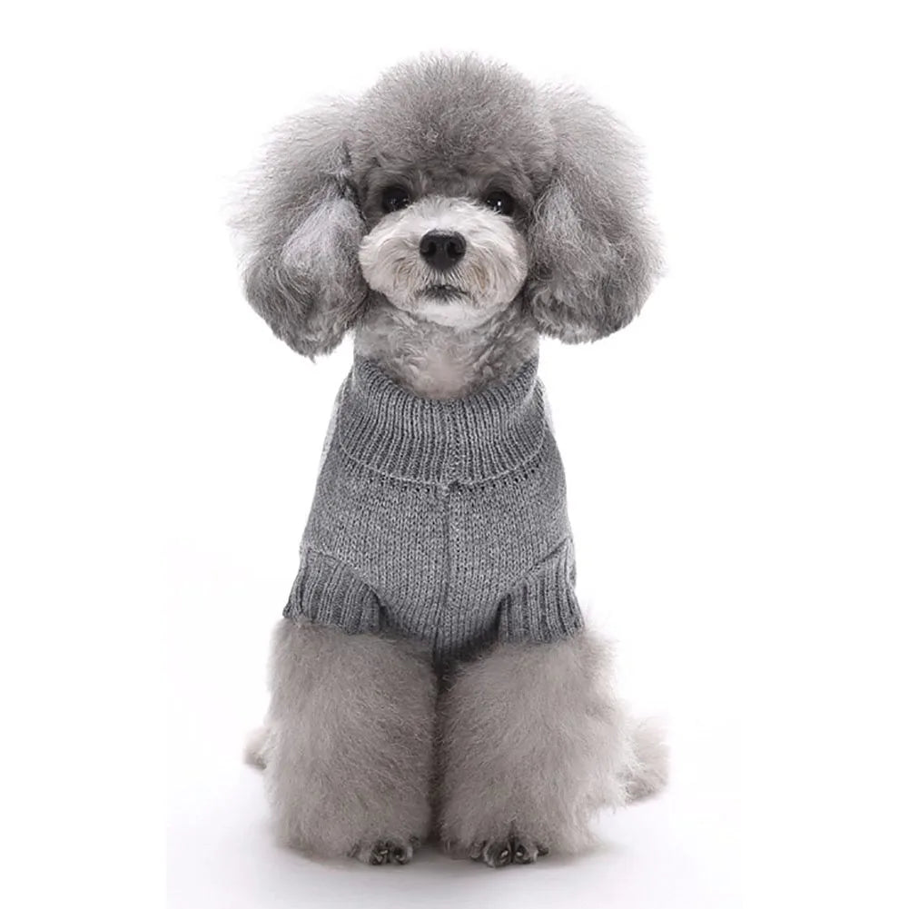 Pet Dog Skull Patten Design Sweater