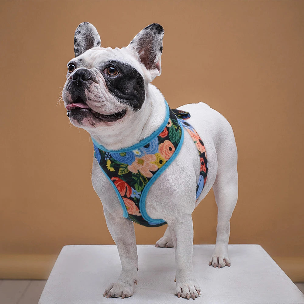 Printed Adjustable Pet Harness
