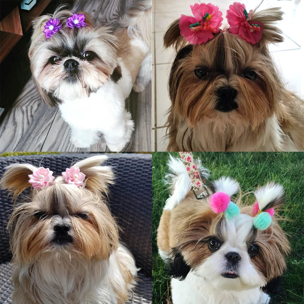Small Dogs Hair Accessories