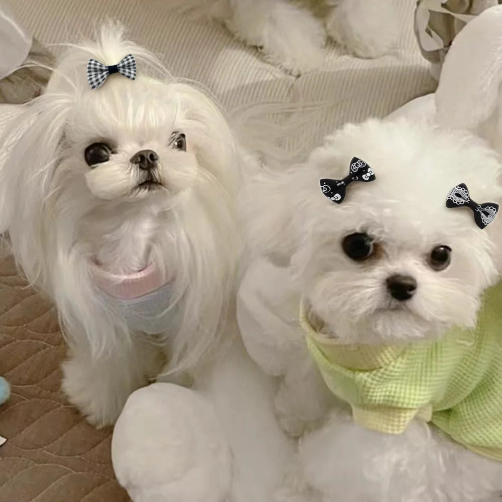 Cute Yorkie Headwear Pet Bows