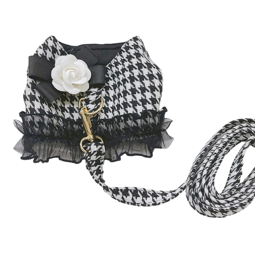 Designer Dog Harness and Leash