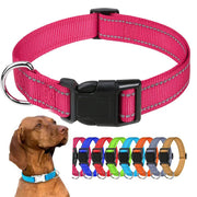 Dog Neck Choker Collar