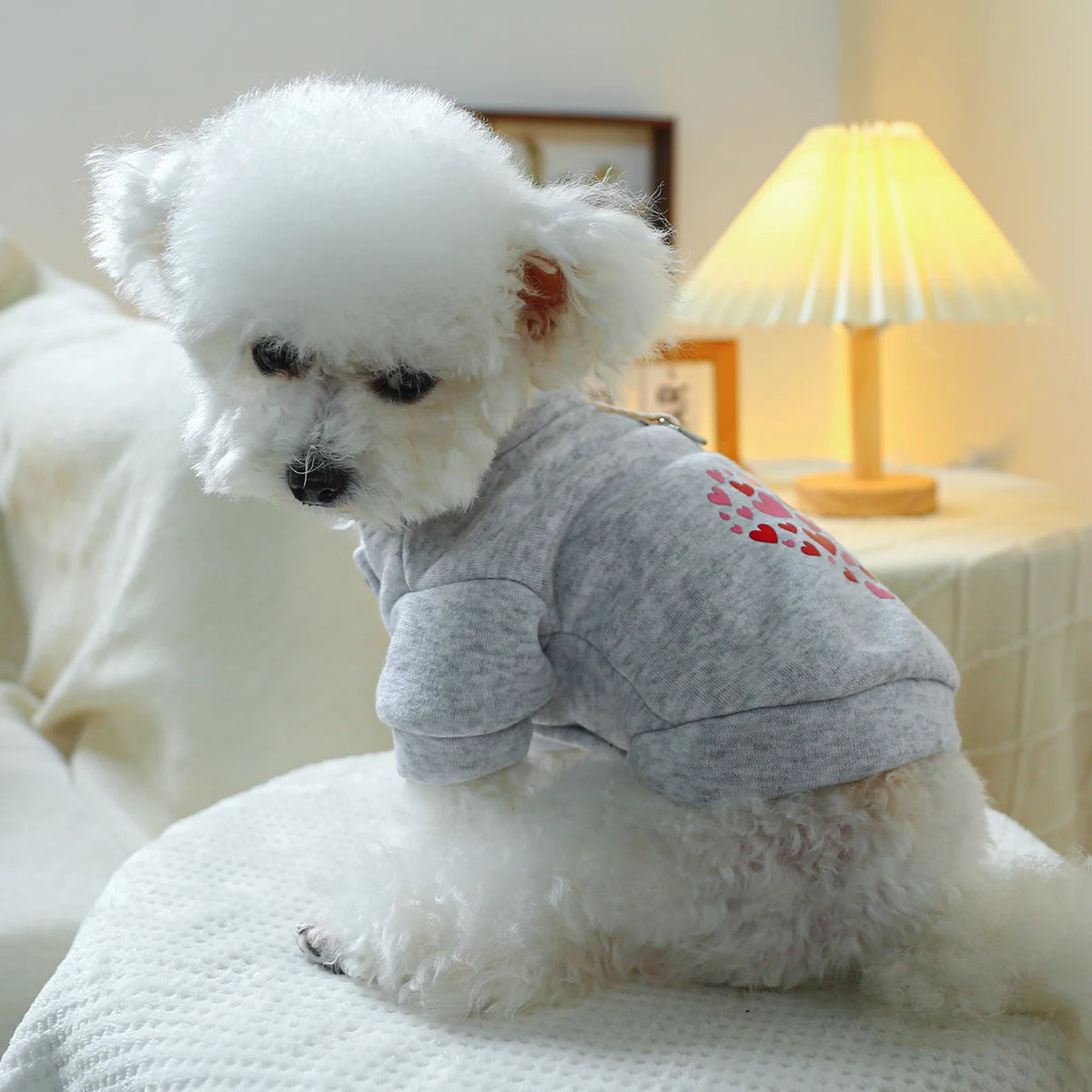 1PC Pet Clothing Dog Valentine's Day