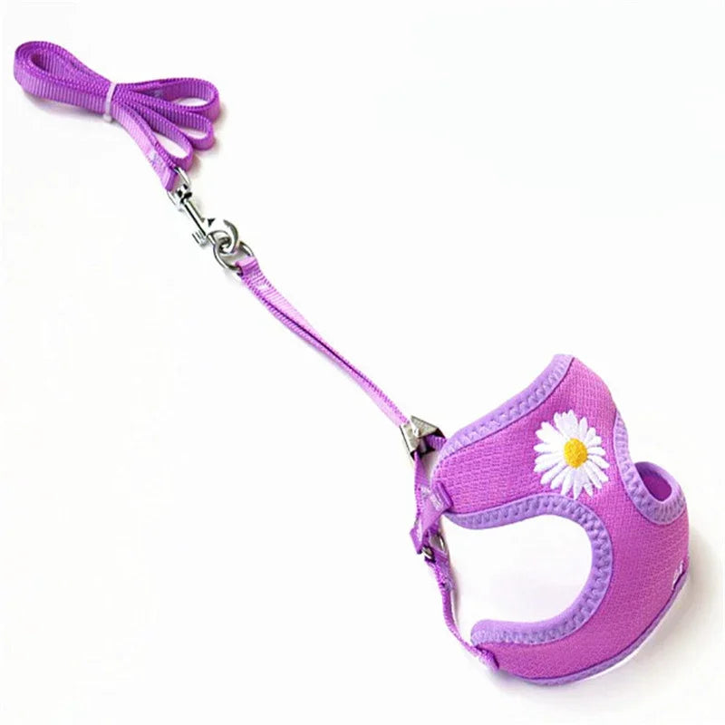 Harness and Leash for Small and Medium Dogs