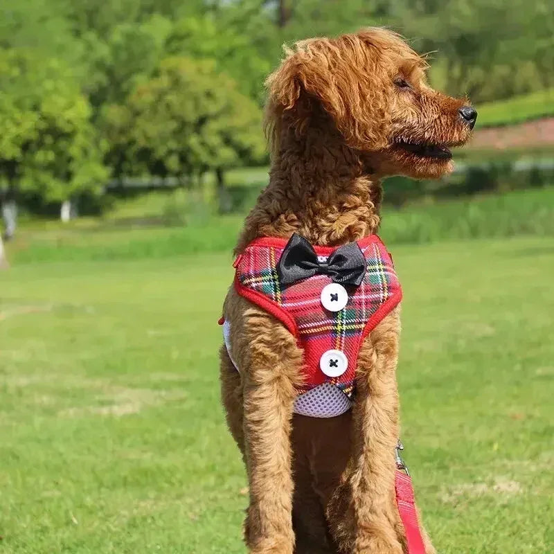 Bowtie Pet Harness Vest with Leash