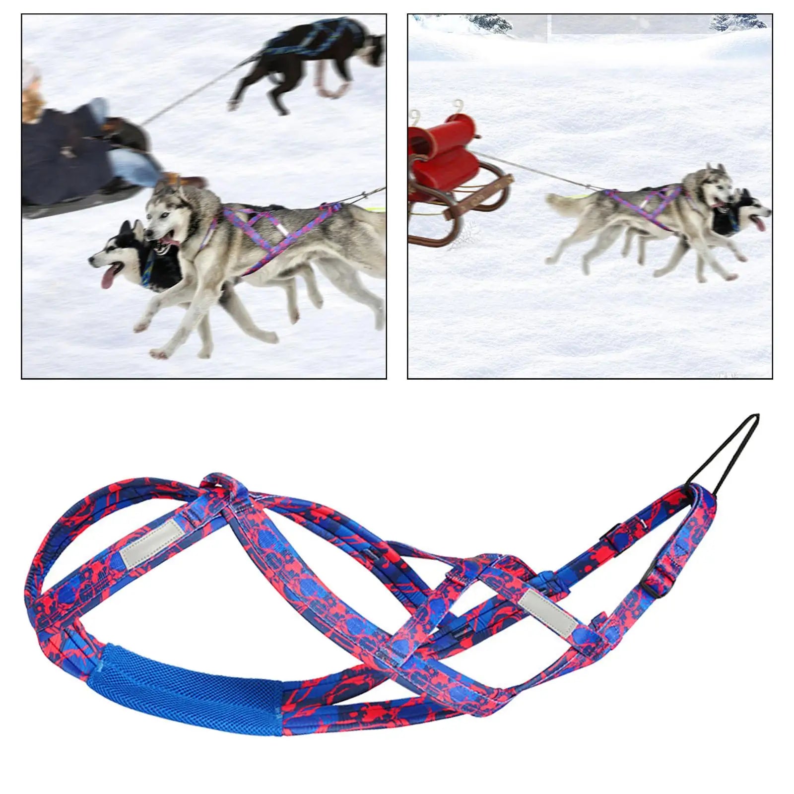 Dog Running Harness
