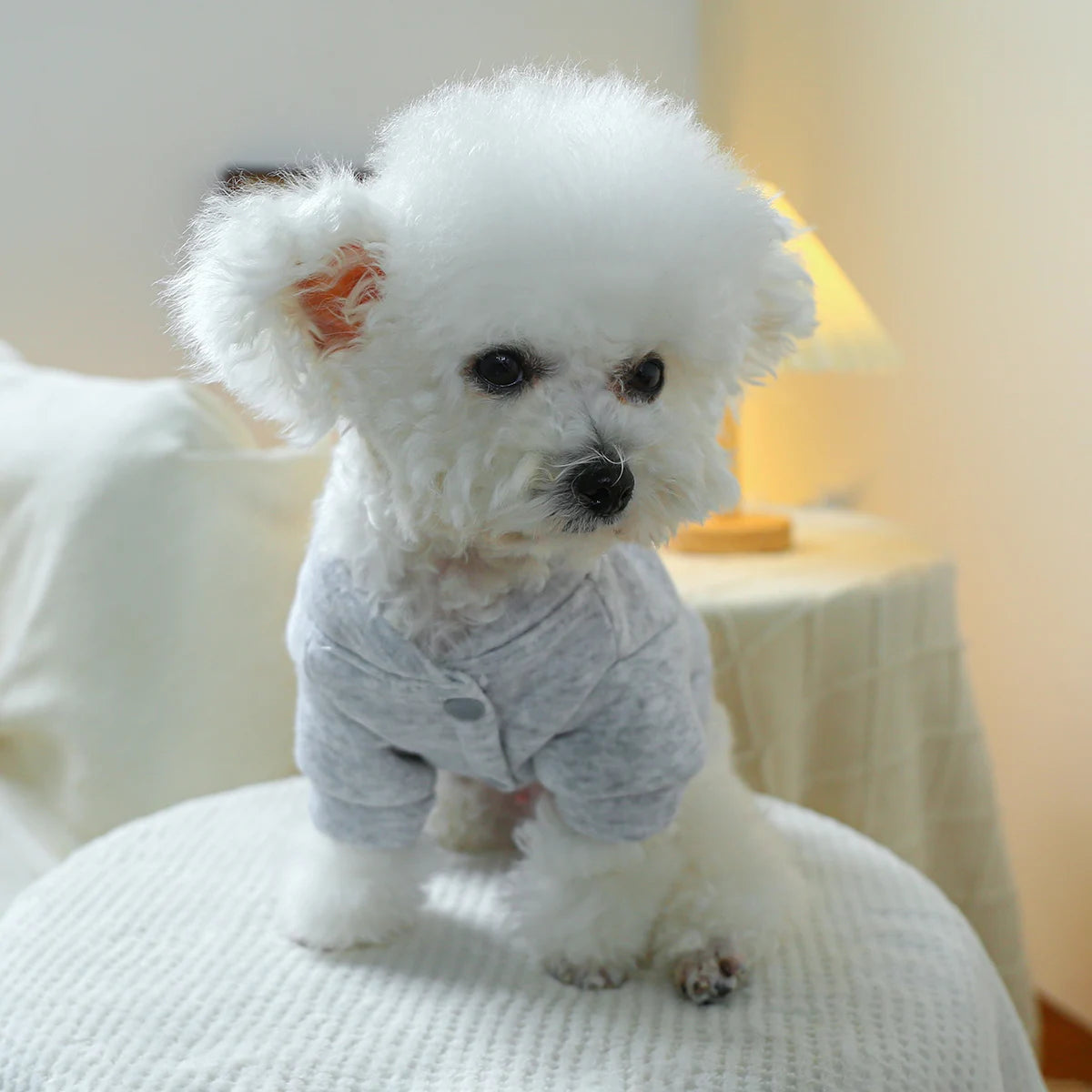 1PC Pet Clothing Dog Valentine's Day