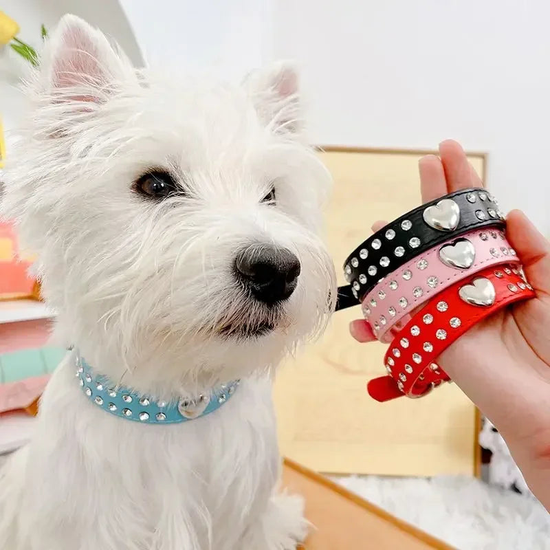 Fashion Yorkie Dog Party Collar