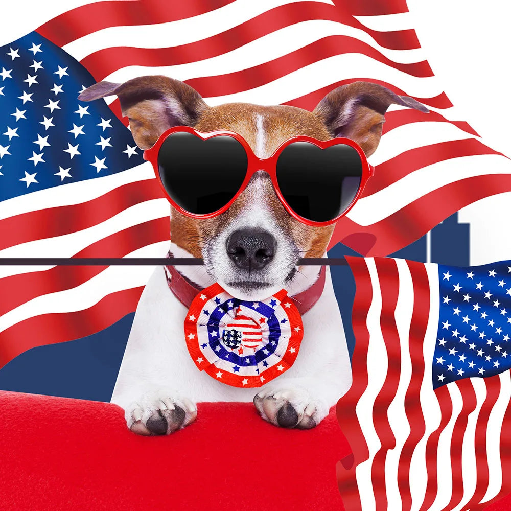 4th July Dog Bows