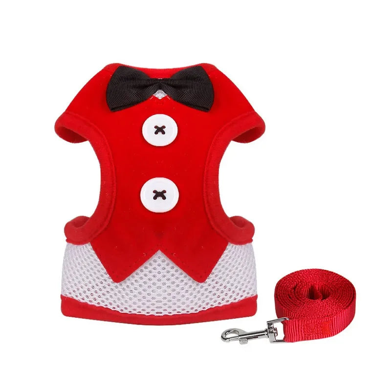 Harness Leash Set For Medium Dog