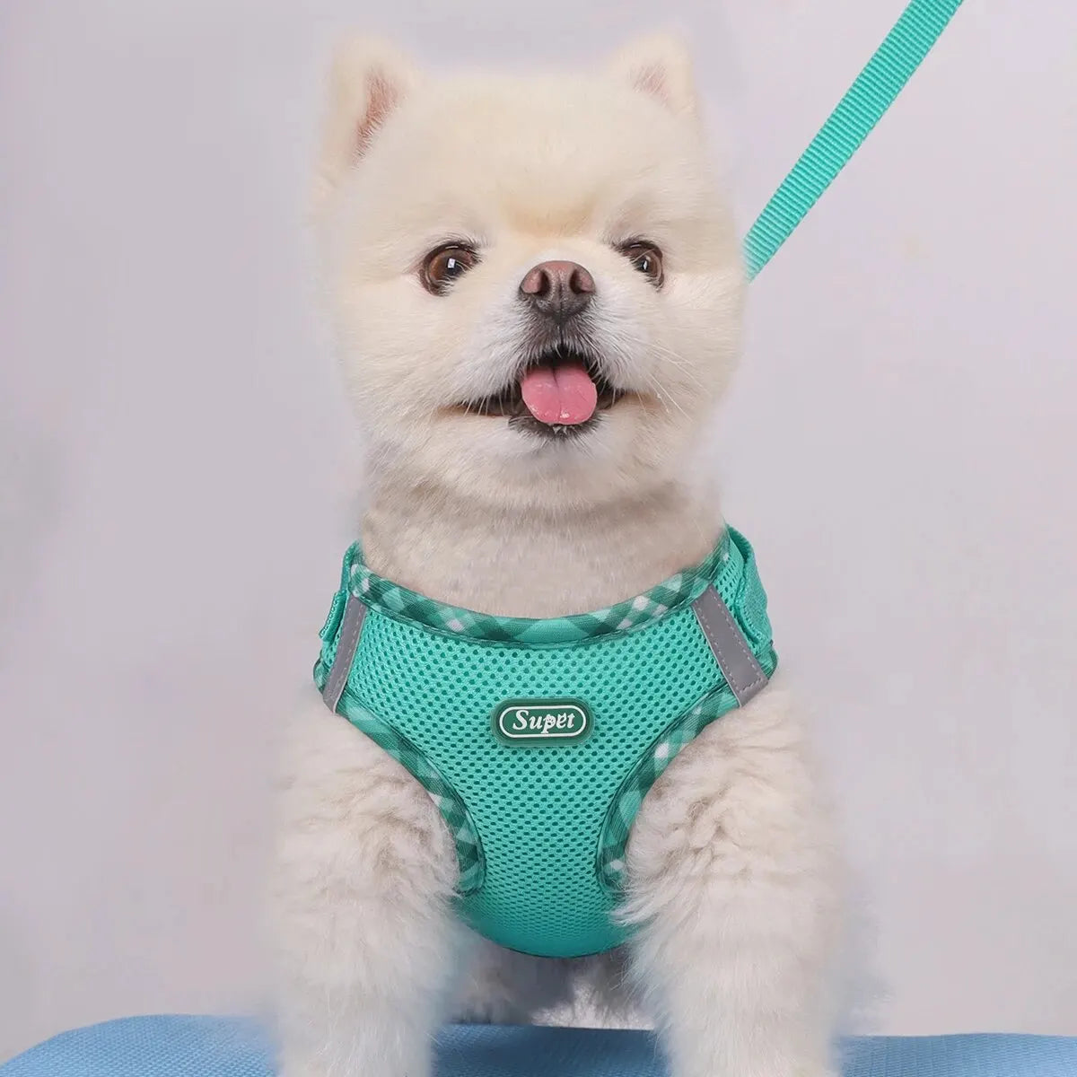 Adjustable Anti-Pull Pet Harness