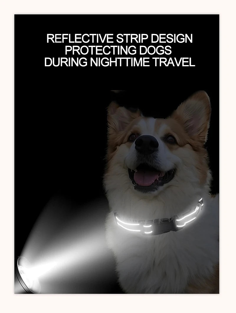 Dog Neck Choker Collar