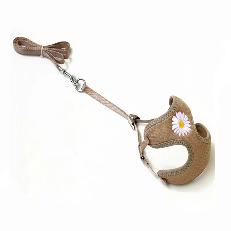 Harness and Leash for Small and Medium Dogs