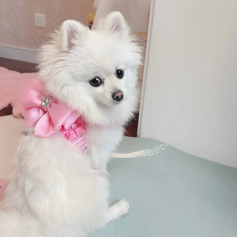 Yorkshire Pink Bow Harness Rope Set
