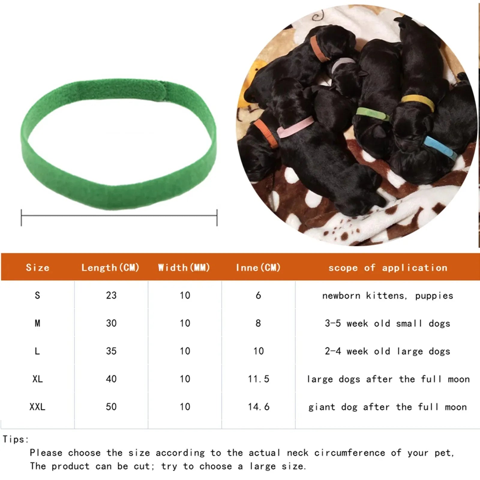 Whelping Newborn Pet Collars