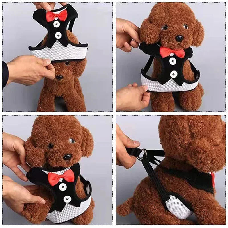 Bowtie Pet Harness Vest with Leash