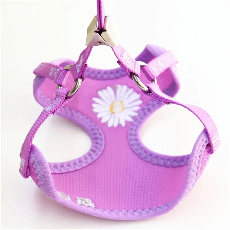 Harness and Leash for Small and Medium Dogs