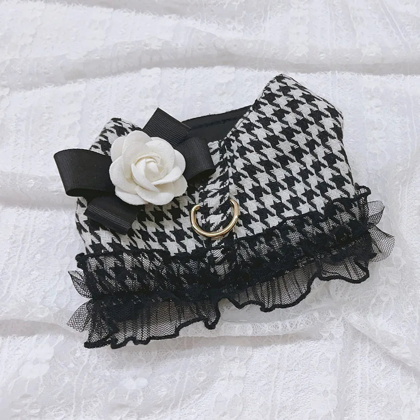 Designer Dog Harness and Leash
