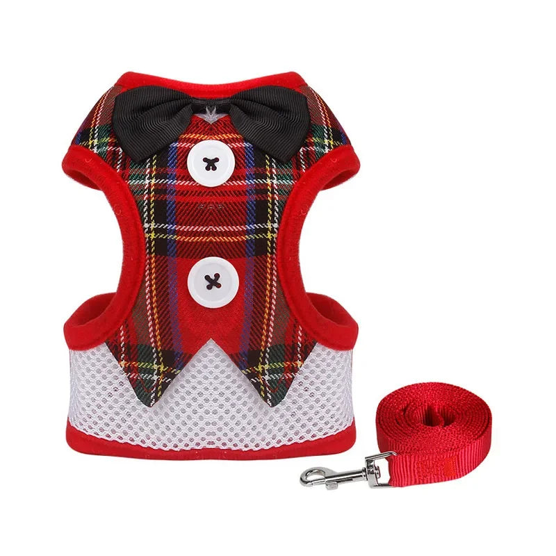 Harness Leash Set For Medium Dog