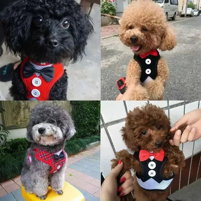 Bowtie Pet Harness Vest with Leash