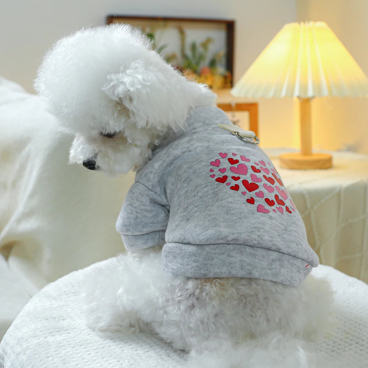 1PC Pet Clothing Dog Valentine's Day