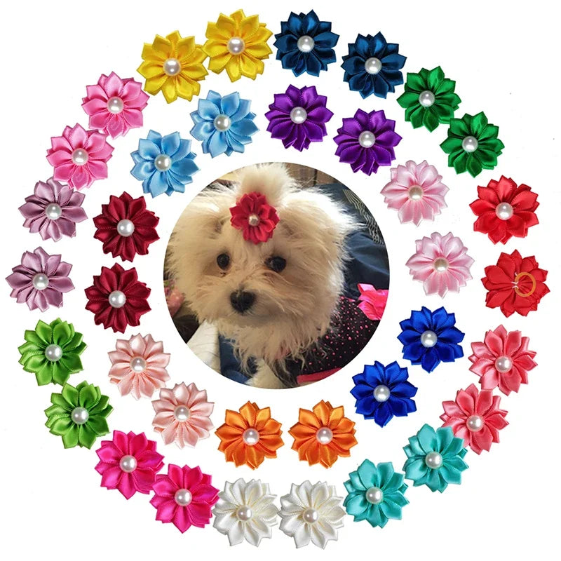 Small Dogs Hair Accessories