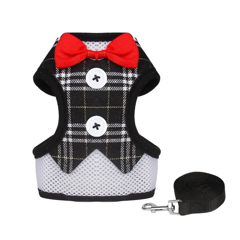 Harness Leash Set For Medium Dog