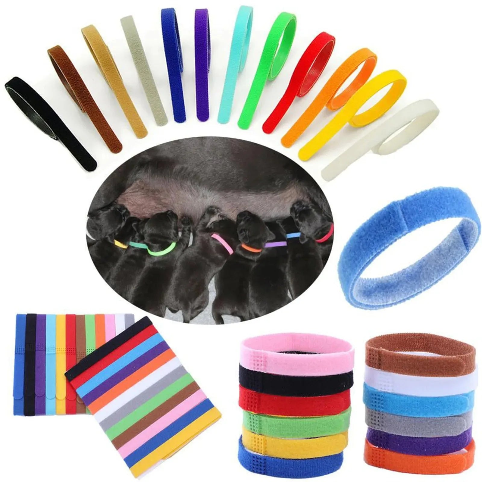 Whelping Newborn Pet Collars