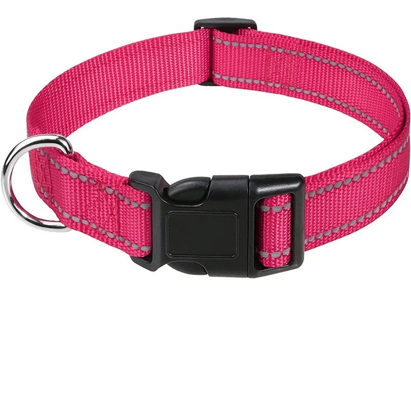 Dog Neck Choker Collar