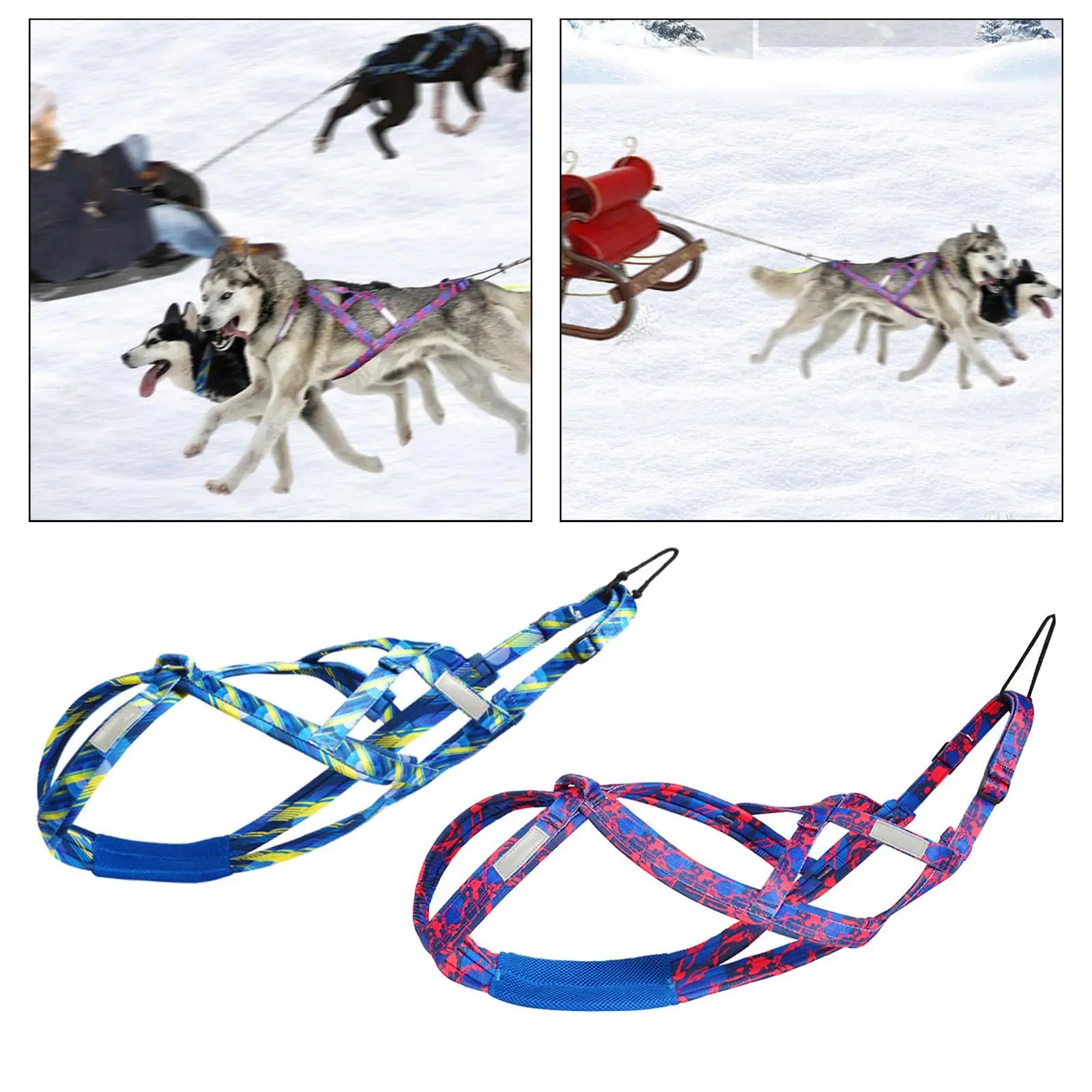 Dog Running Harness