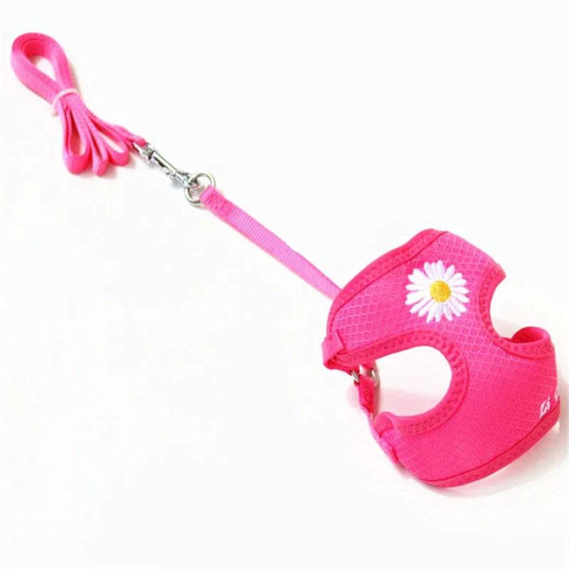 Harness and Leash for Small and Medium Dogs
