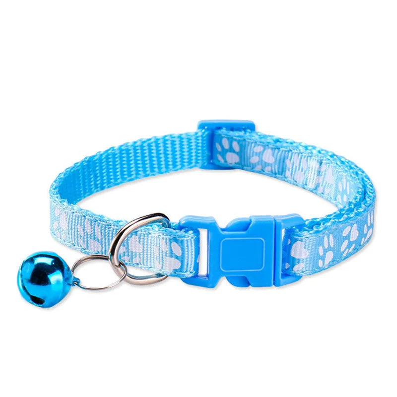 Personalized Designer Dog Collars with Bell