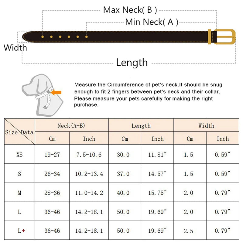 Personalized Dog Collar with Tie