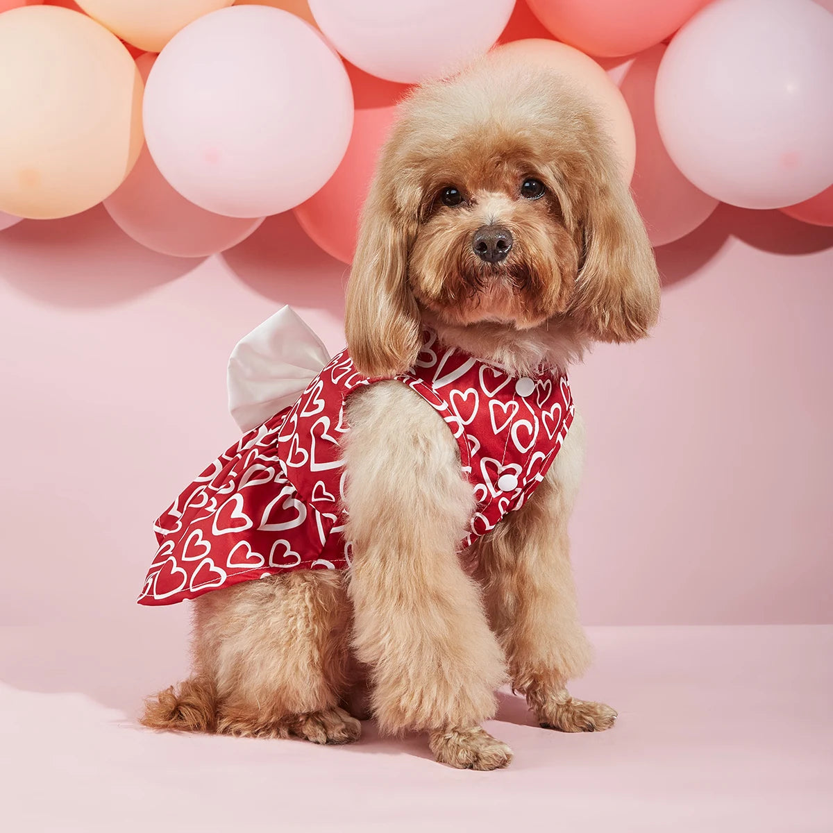 Valentines Day Pet Clothes