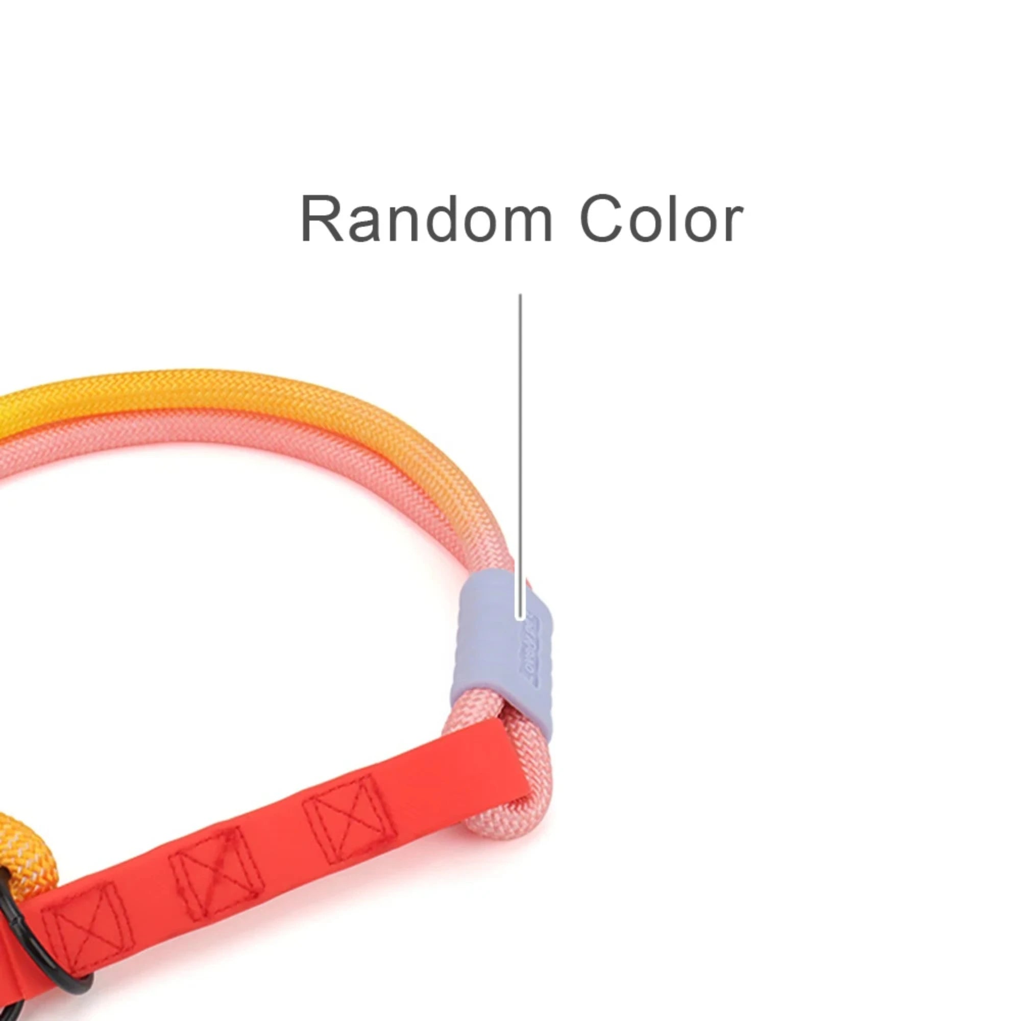 Colorful Dog Collar
