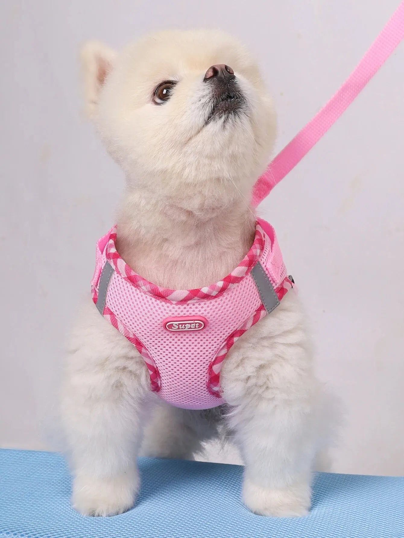 Adjustable Anti-Pull Pet Harness