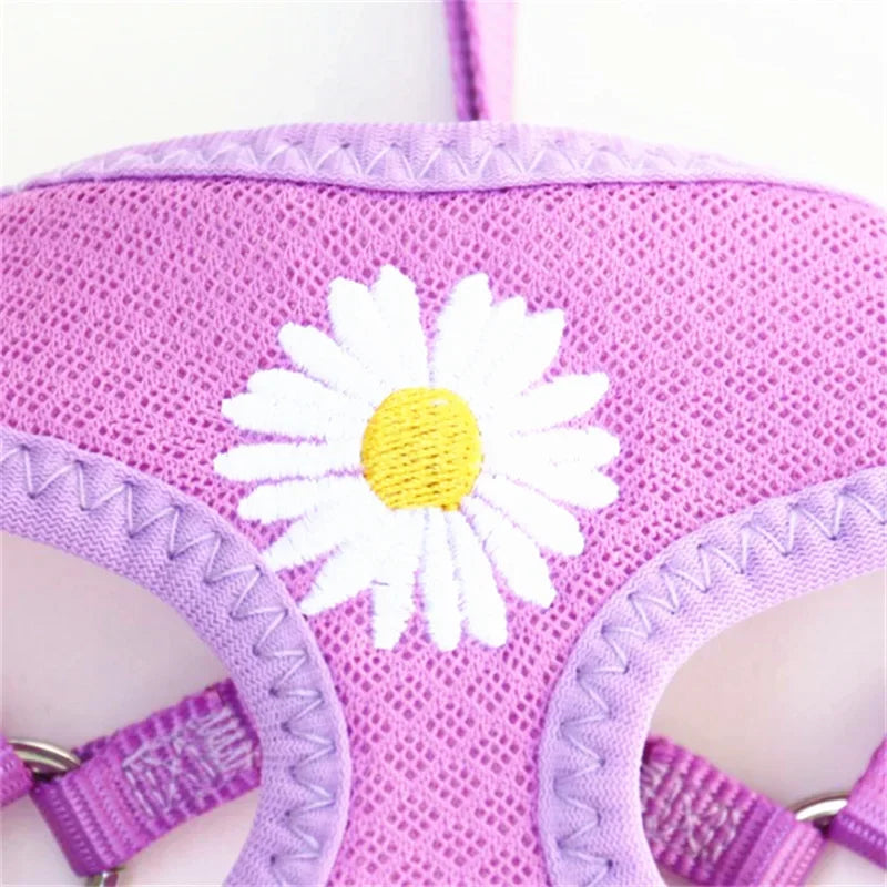Harness and Leash for Small and Medium Dogs