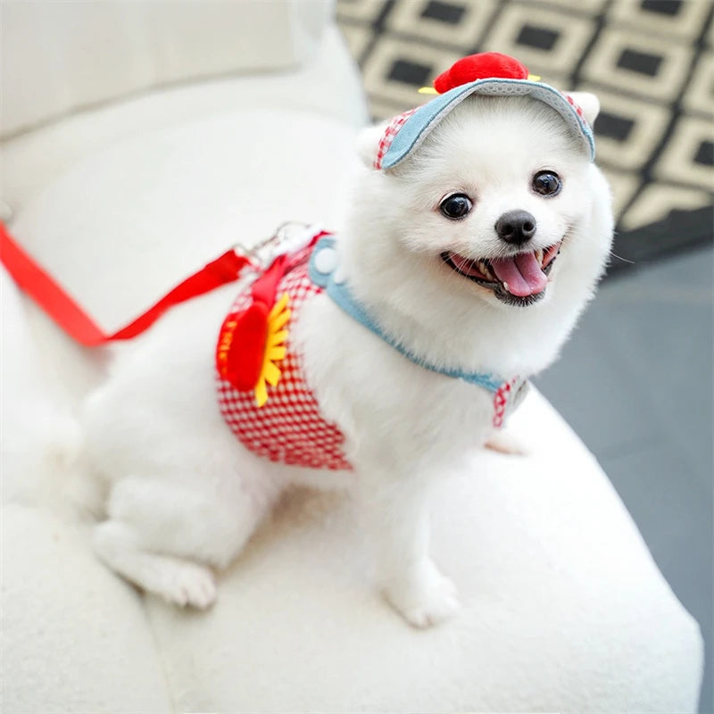 York Dogs Harness Leash Set