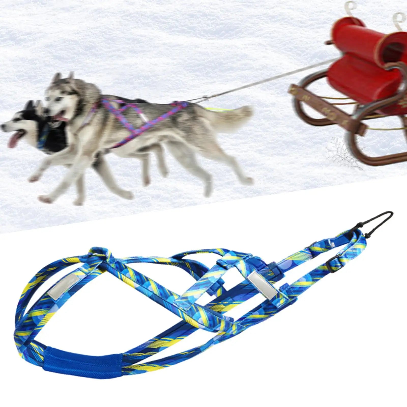 Dog Running Harness