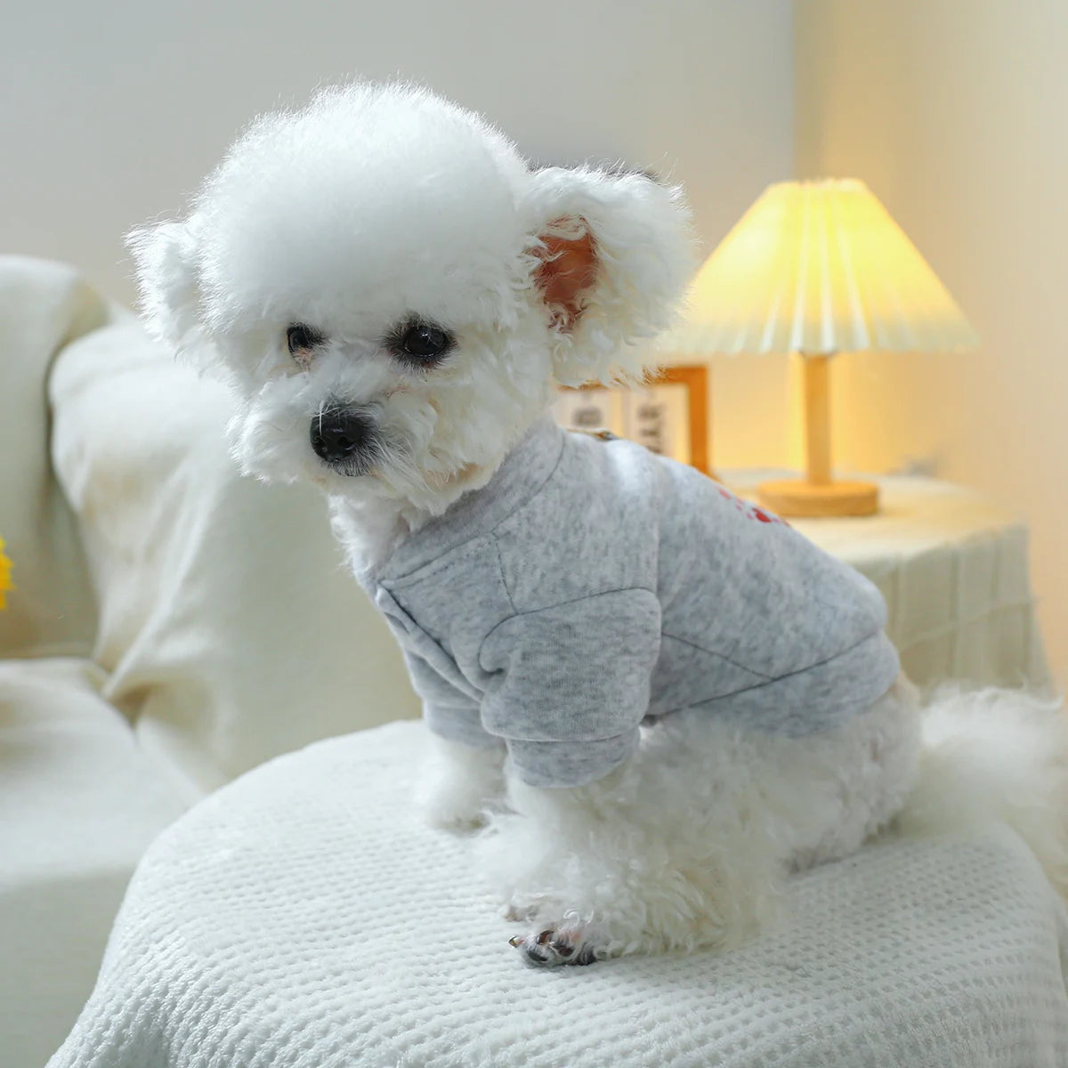 1PC Pet Clothing Dog Valentine's Day
