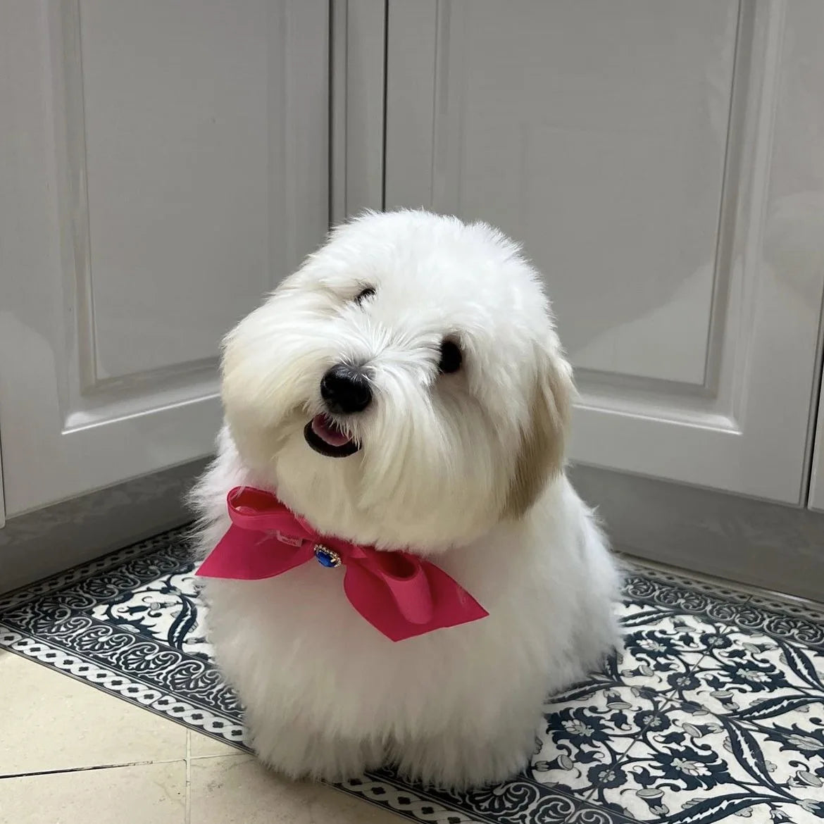 Bow Collar Pet Dog Necktie