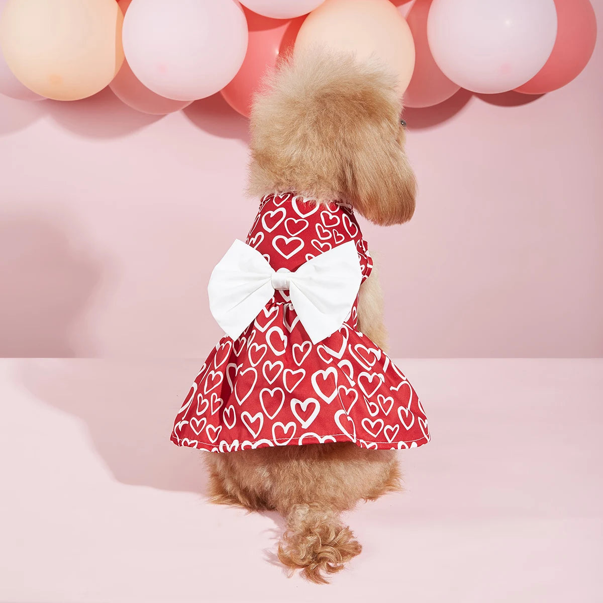 Valentines Day Pet Clothes
