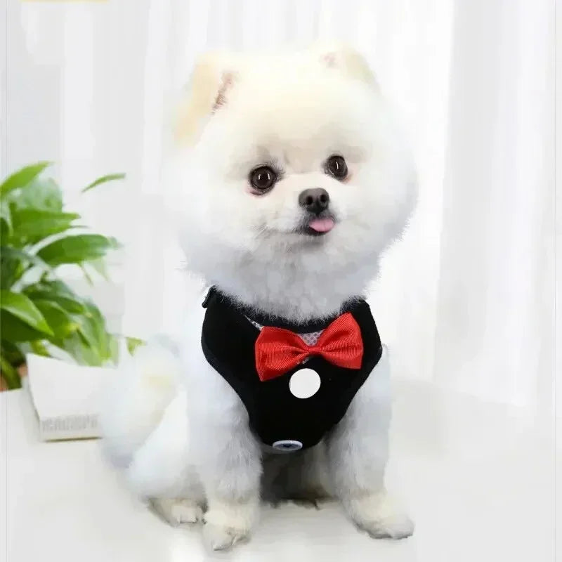 Bowtie Pet Harness Vest with Leash