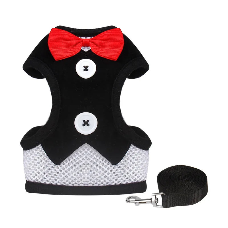 Harness Leash Set For Medium Dog