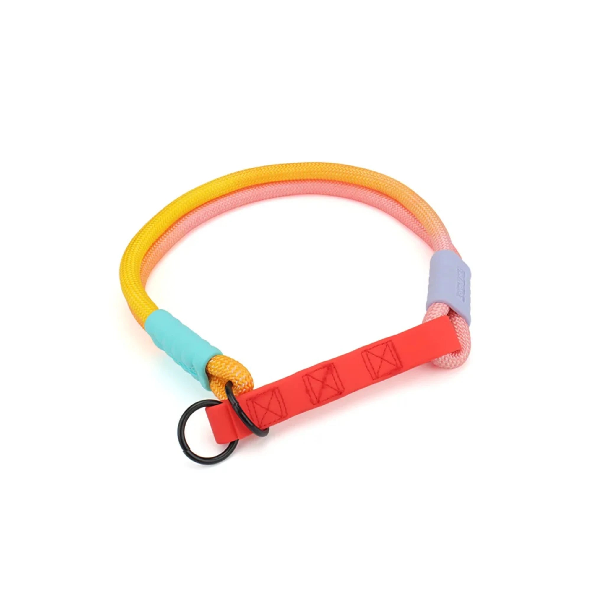Colorful Dog Collar