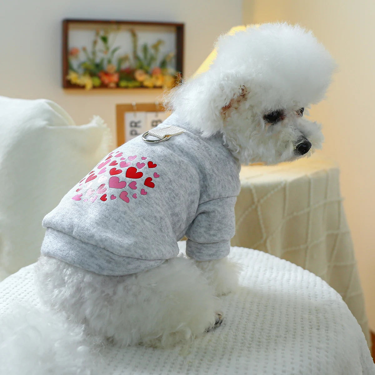 1PC Pet Clothing Dog Valentine's Day